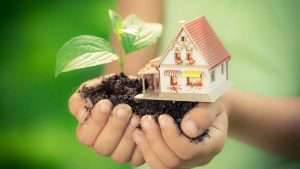 Child's hands holding plant and model house